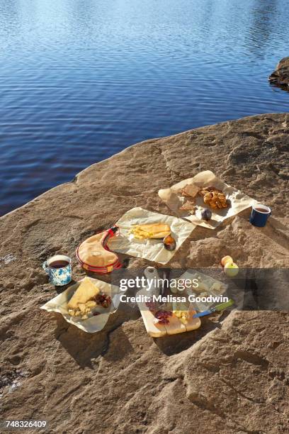 selection of cheeses, arranged on rock, beside lake, colgate lake wild forest, catskill park, new york state, usa - drinkwater kante stock-fotos und bilder