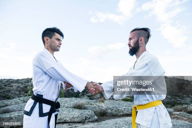 men shaking hands during a martial arts training - strictness stock pictures, royalty-free photos & images