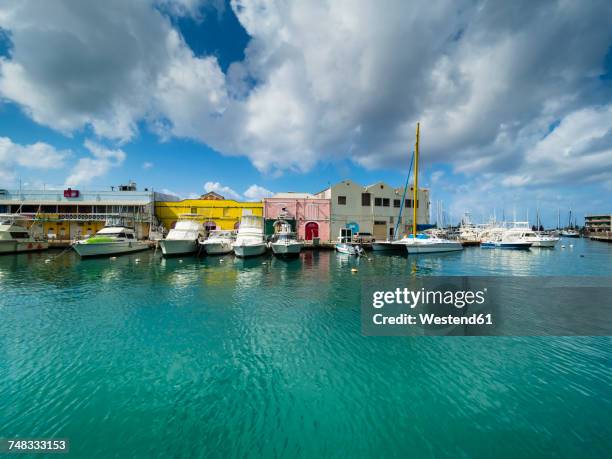 caribbean, barbados, bridgetown, harbor at independence square - bridgetown barbados fotografías e imágenes de stock