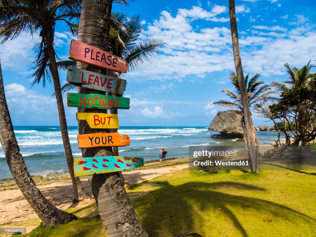 Caribbean, Barbados, Saint Joseph, Signs on palm at Bathsheba Park