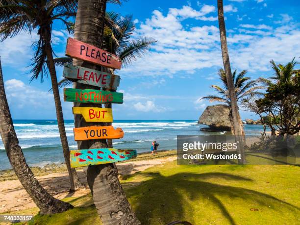 caribbean, barbados, saint joseph, signs on palm at bathsheba park - barbados beach stock pictures, royalty-free photos & images