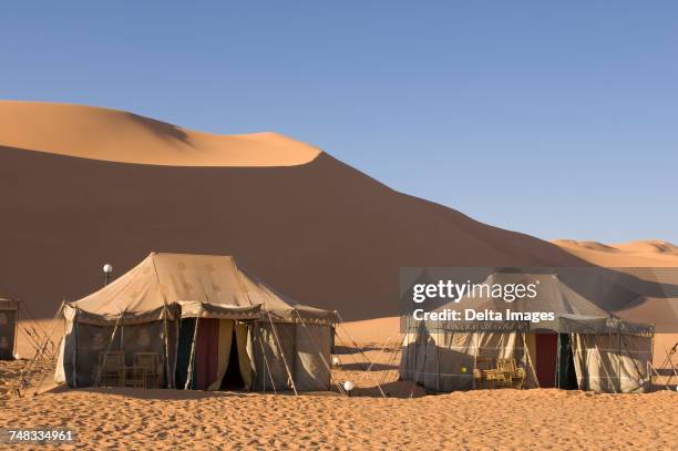 tented camp, erg awbari, sahara desert, fezzan, libya - libya stock pictures, royalty-free photos & images