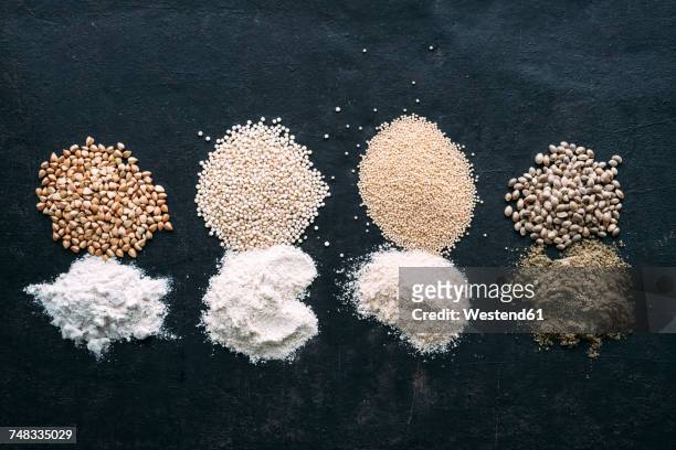 pseudocereals and flour, buckwheat, quinoa, amaranth, hemp - buckwheat fotografías e imágenes de stock
