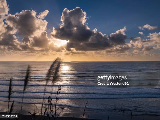 Sunset Raglan 270 Raglan Beach Stock Photos, High-Res Pictures, and Images - Getty Images