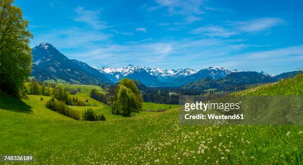 germany, bavaria, view from malerwinkel near altstaedten towards illertal - alpenvorland stock pictures, royalty-free photos & images