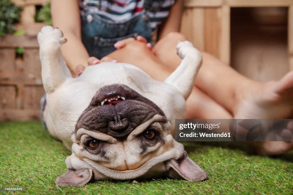 Woman petting her dog on the terrace