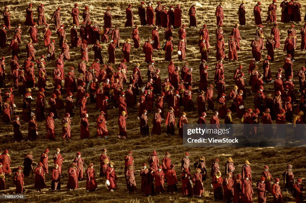 Yaqing Buddhist Island of Sichuan Province,China