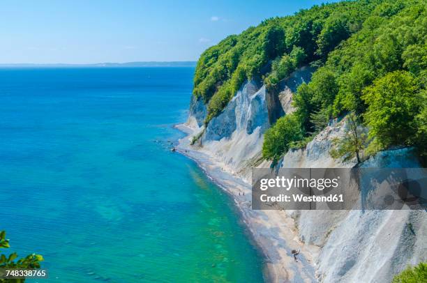 germany, ruegen, chalk cliff at jasmund national park - chalk rock stock pictures, royalty-free photos & images