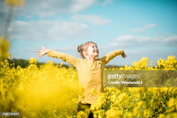 carefree girl in rape field - light natural phenomenon stock pictures, royalty-free photos & images