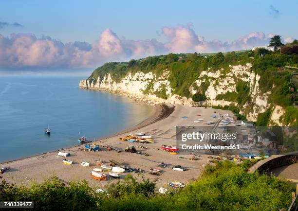 uk, beer, view to beach and jurassic coast - devon stockfoto's en -beelden