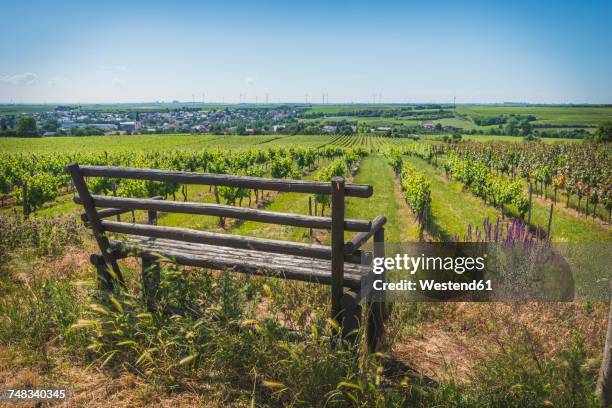 germany, westhofen, vineyards with bench in the foreground - rhineland palatinate stockfoto's en -beelden