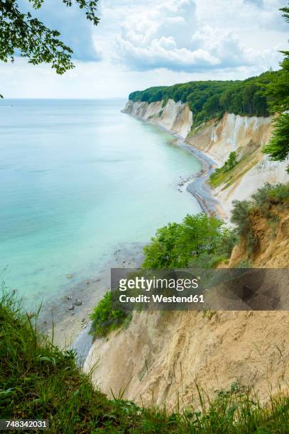 germany, ruegen, chalk cliffs in stubnitz nature reserve - rügen island chalk cliffs stockfoto's en -beelden