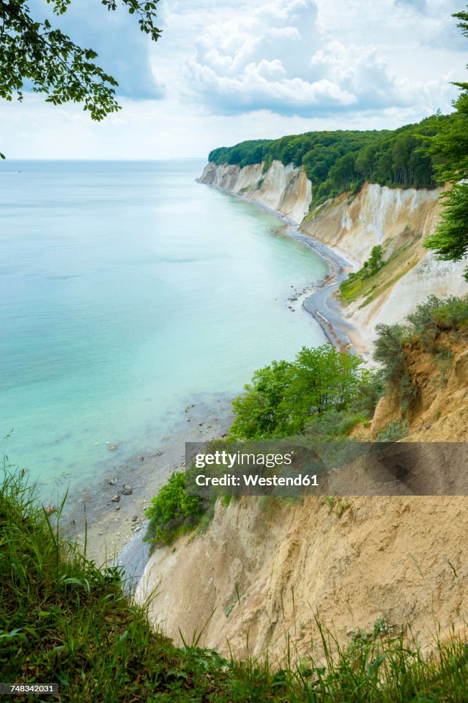 Germany, Ruegen, chalk cliffs in Stubnitz nature reserve