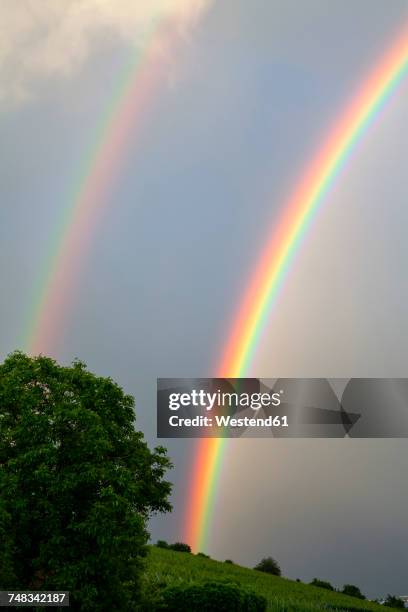 double rainbow - double rainbow stock pictures, royalty-free photos & images