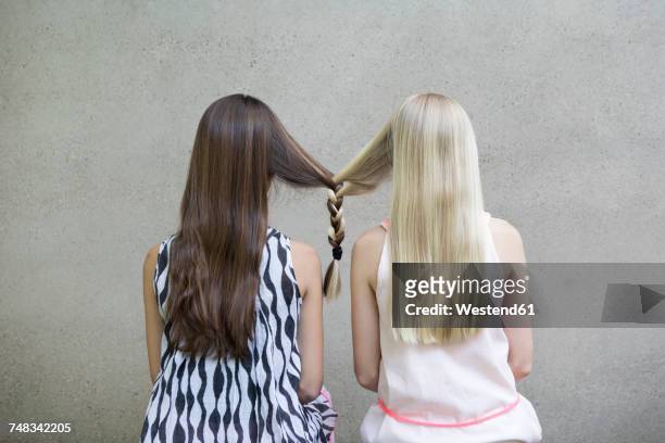 back view of two long-haired girls with one braid - plait stock-fotos und bilder