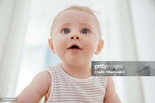 portrait of curious baby boy - babyface stock-fotos und bilder