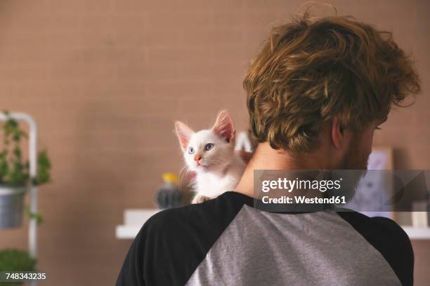 back view of man with kitten on his shoulder - seitenblick stock-fotos und bilder