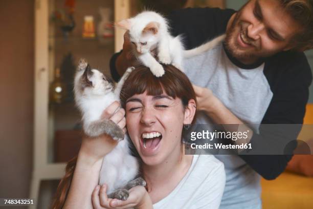 young couple with kittens at home - cat playing stock pictures, royalty-free photos & images