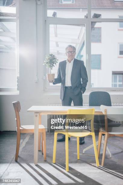 portrait of senior businessman holding plant - bonsai tree office stock pictures, royalty-free photos & images