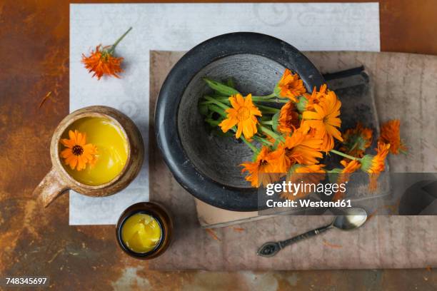 making pot marigold salve - pot marigold stock pictures, royalty-free photos & images