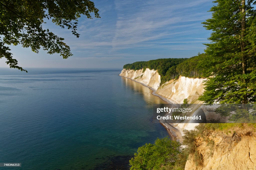 Germany, Mecklenburg-Western Pomerania, Jasmund National Park, Chalk coast at the Baltic Sea