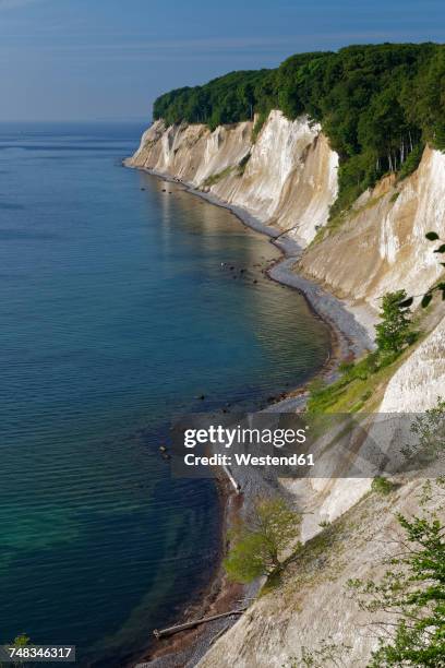 germany, mecklenburg-western pomerania, jasmund national park, chalk coast at the baltic sea - rügen island chalk cliffs stockfoto's en -beelden