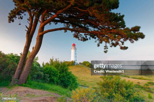 germany, mecklenburg-western pomerania, hiddensee, dornbusch lighthouse on the schluckswiek - western isles fotografías e imágenes de stock