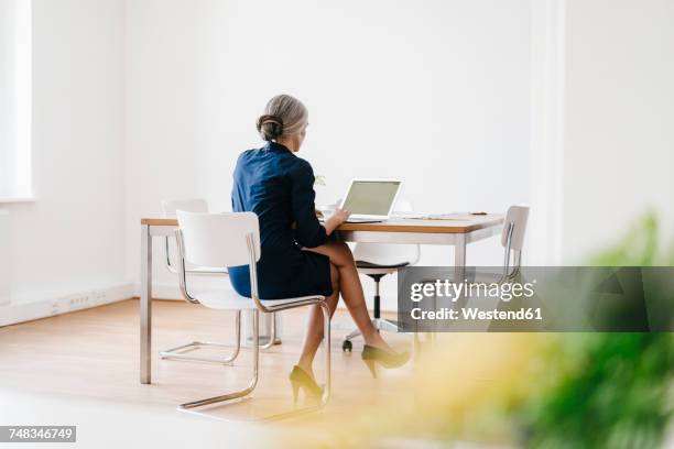 businesswoman working on laptop in office - grey hair back stock pictures, royalty-free photos & images