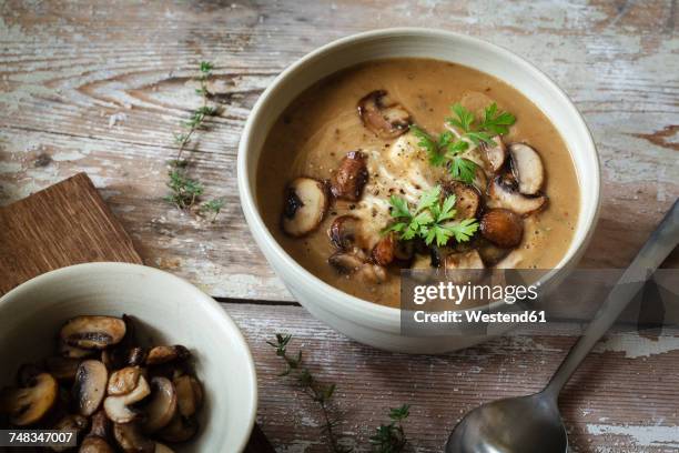 sweet chestnut mushroom soup - mushroom soup stock pictures, royalty-free photos & images