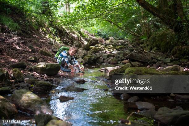 little boy playing at brook in the woods - monbach stock pictures, royalty-free photos & images