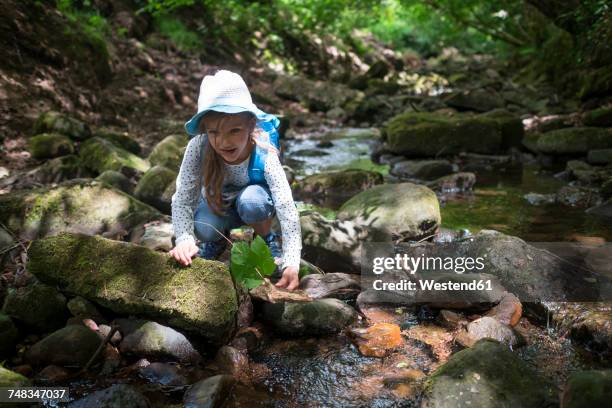 little girl playing at brook in the woods - monbach stock pictures, royalty-free photos & images