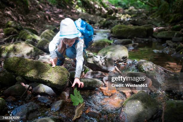 little girl playing at brook in the woods - monbach stock pictures, royalty-free photos & images