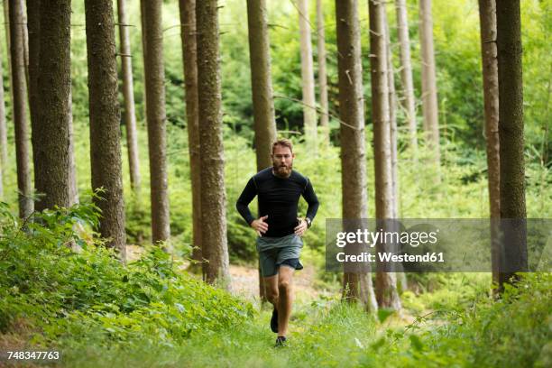 Running Fast Forest 51,082 Running In A Forest Stock Photos, High-Res Pictures, and Images ...