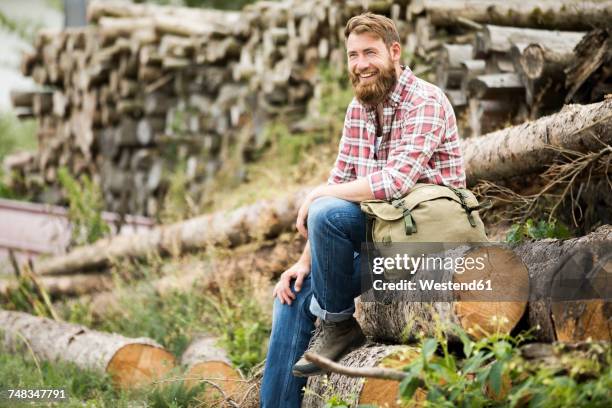 laughing bearded man sitting on stack of wood - wood worker posing ストックフォトと画像