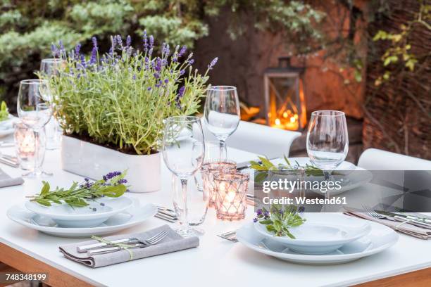 festive laid table in the garden - tafel dekken stockfoto's en -beelden