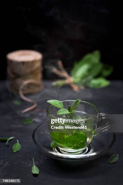 tea glass of steaming sage tea with sage leaves - tea sage stock pictures, royalty-free photos & images