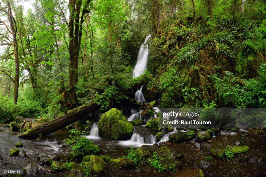 Merriman falls