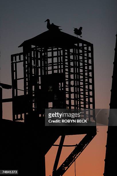 San Francisco, UNITED STATES: Two birds sit on an empty guard house near the prison recreation yard as the sun sets on Alcatraz Island, 14 June 2007...
