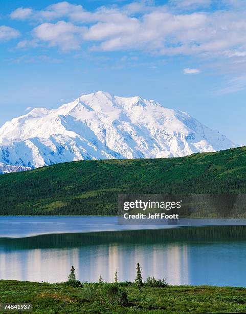 usa, alaska, mount mckinley, wonder lake, panoramic view of the mountain and lake - wonder lake stock pictures, royalty-free photos & images