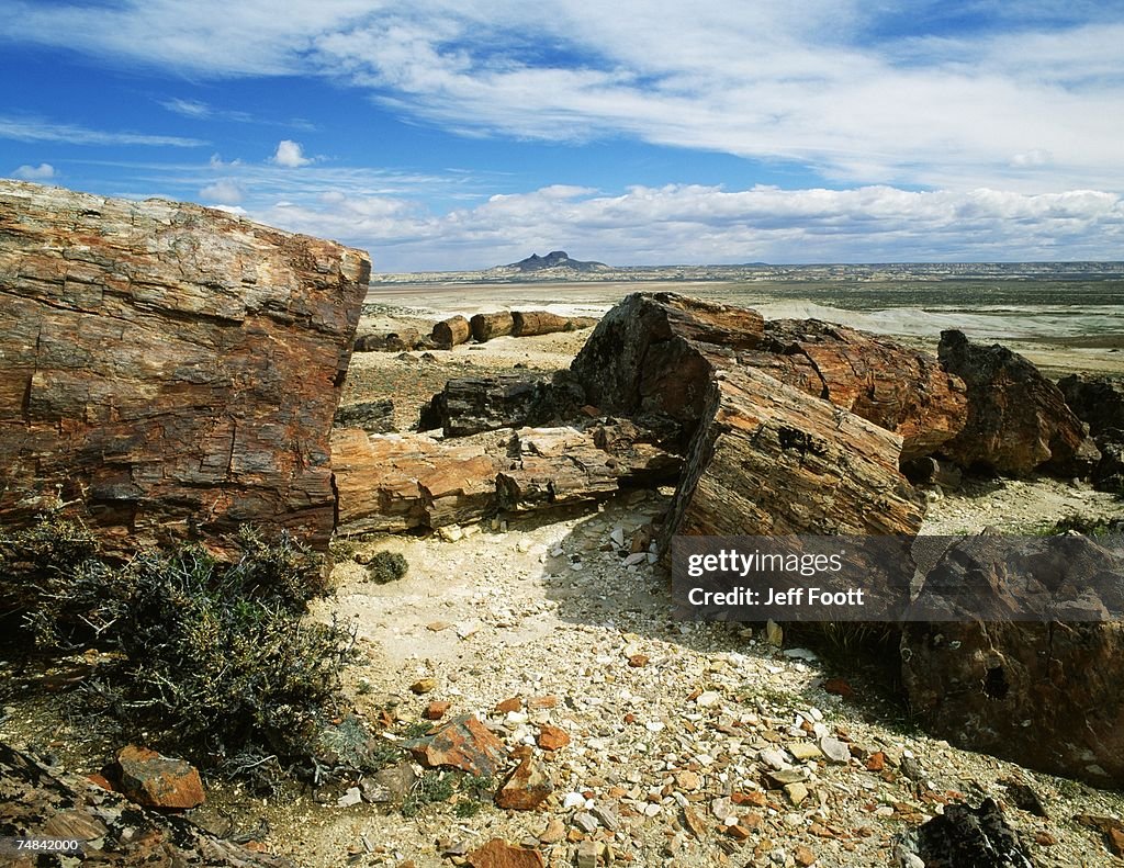 Patagonia, Petrified Forest National Park, Close-up of broken rock formations on the shore