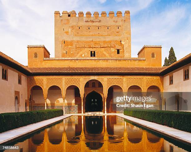 spain, analucia, granada, alhambra palace, court of myrtles reflected in pool - granada spain landmark - fotografias e filmes do acervo