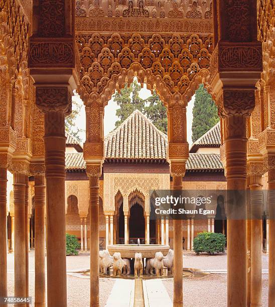 spain, analucia, granada, alhambra palace, traditional courtyard framed by carvings - alhambra spanien bildbanksfoton och bilder