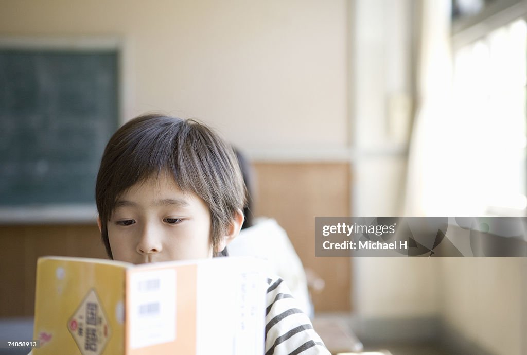 Boy (6-7) reading textbook in school classroom