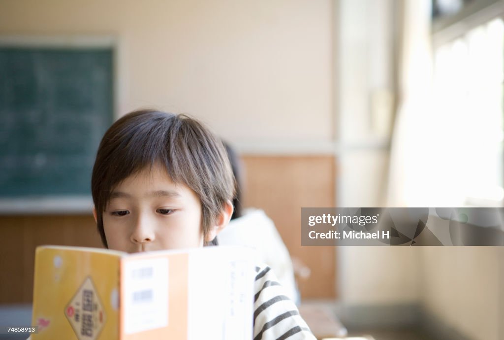 Boy (6-7) reading textbook in school classroom