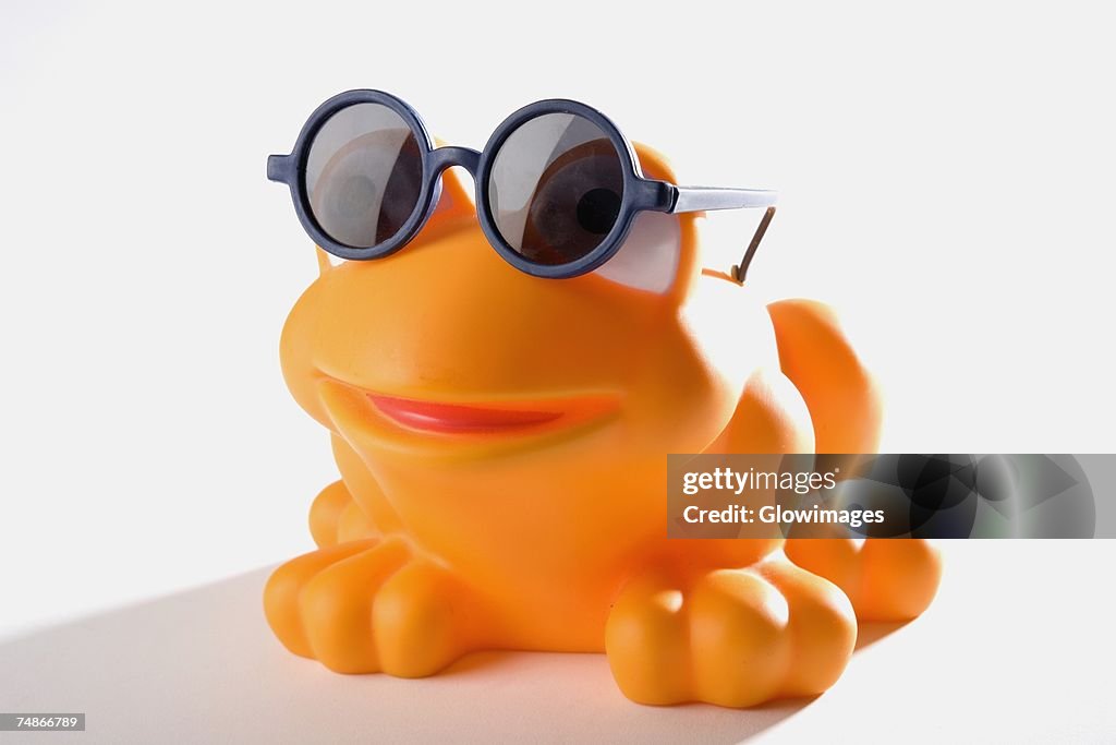 Close-up of a rubber frog wearing a pair of sunglasses