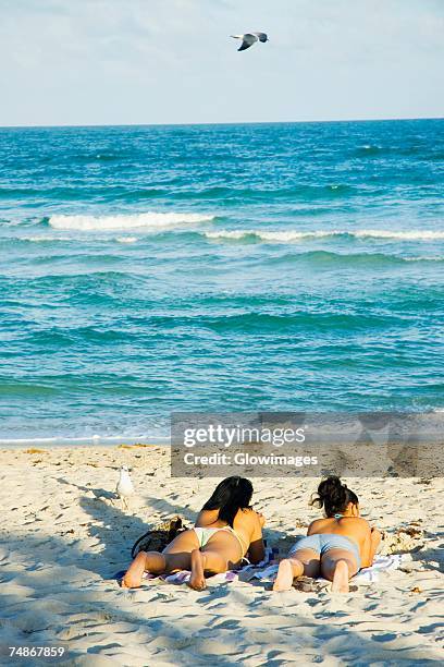 high angle view of two women sunbathing on the beach - allongé sur le devant photos et images de collection