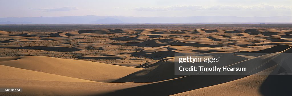 USA, California, Imperial County, Imperial Sand Dunes near Brawley