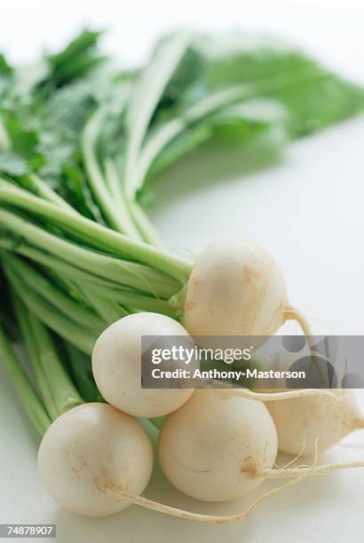 bunch of baby turnips, close-up - turnip stock pictures, royalty-free photos & images