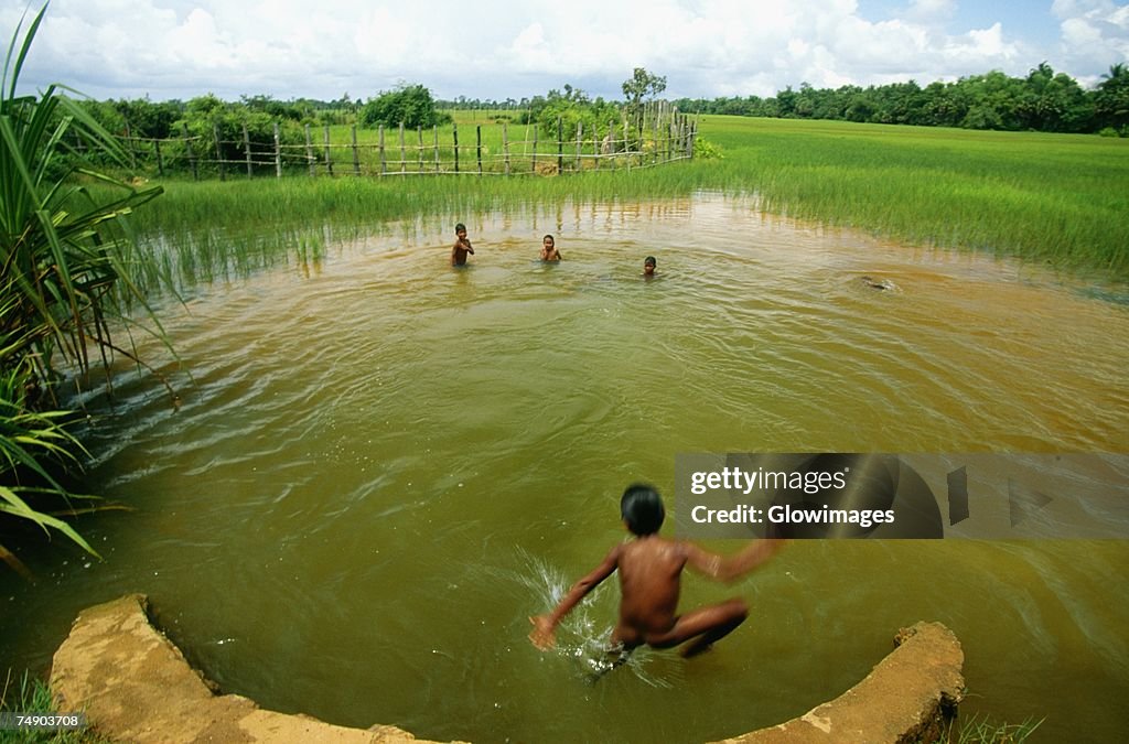 Jumping Rice Rear View Of A Boy Jumping In A Pond At A Rice Field Cambodia High-Res ...