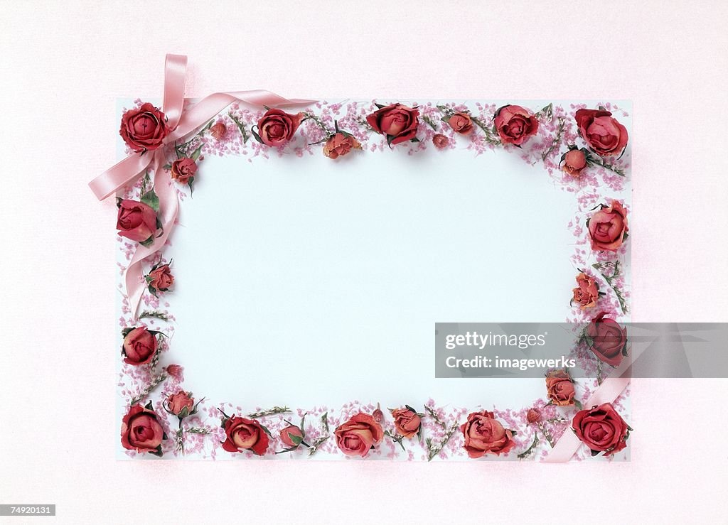 Close-up of a flower frame